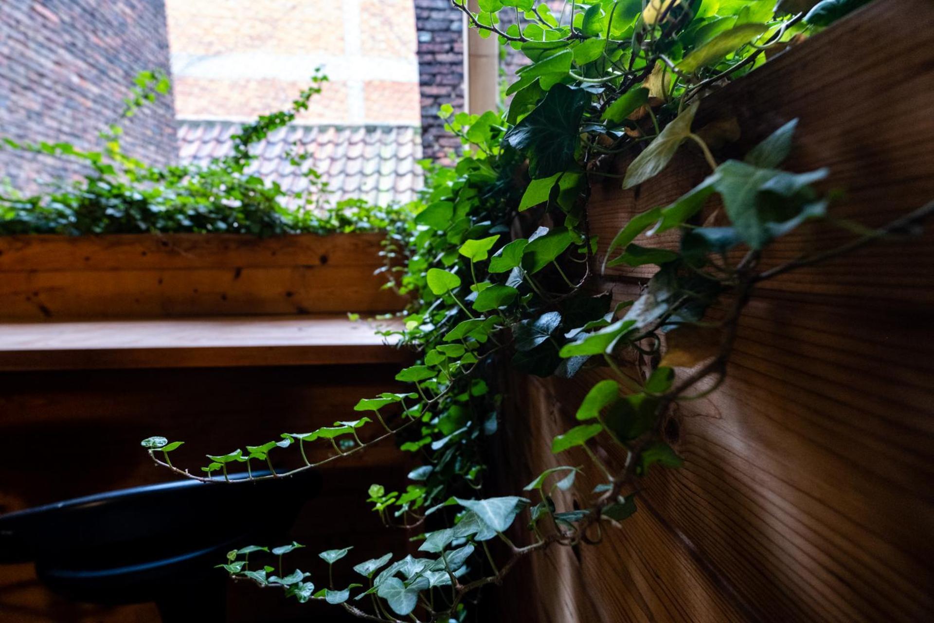 Cityhome Apartments In The Heart Of アントウェルペン 部屋 写真
