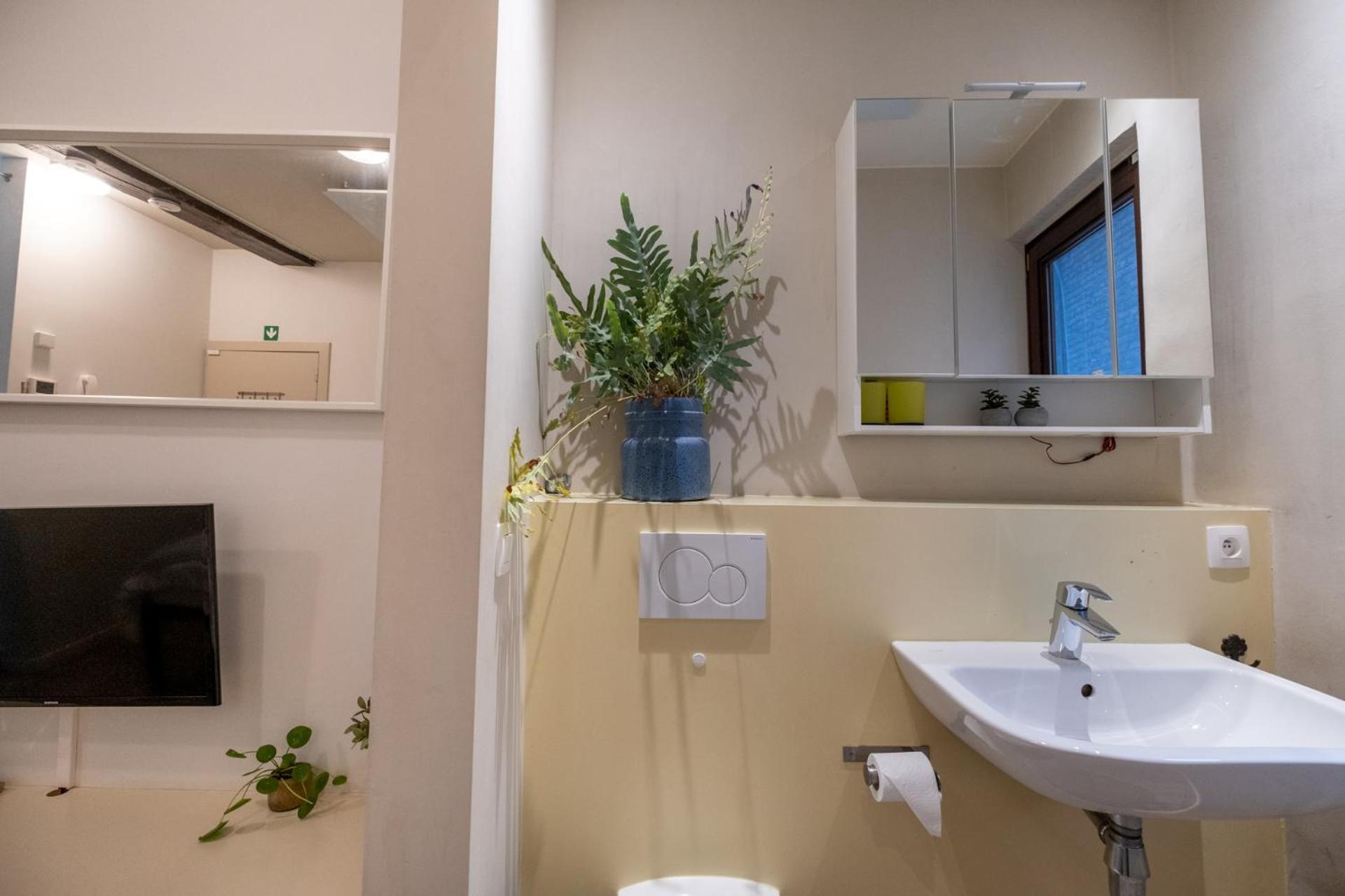 Cityhome Apartments In The Heart Of アントウェルペン 部屋 写真